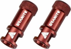 Durable Alloy Tire Valve Cap EA130